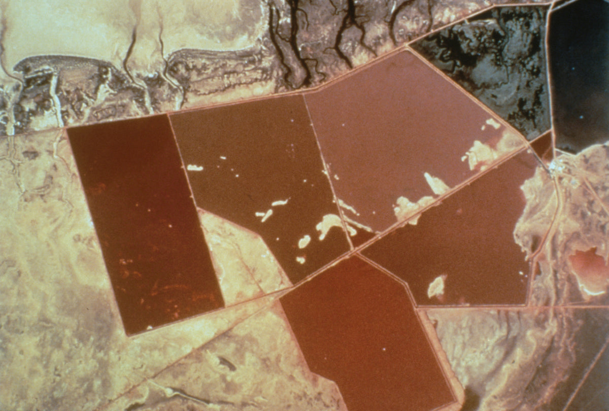 Ponds turning red from Dunaliella salina
